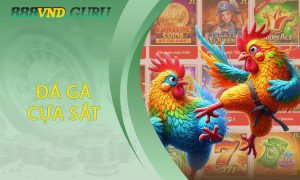 Đá Gà Cựa Sắt